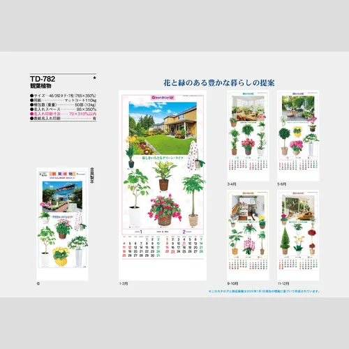 観葉植物　TD782