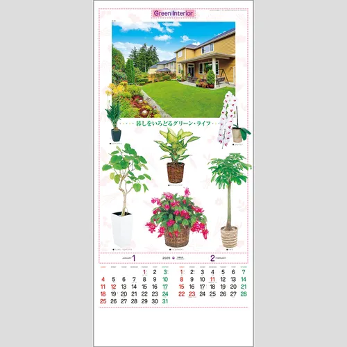 観葉植物　TD782
