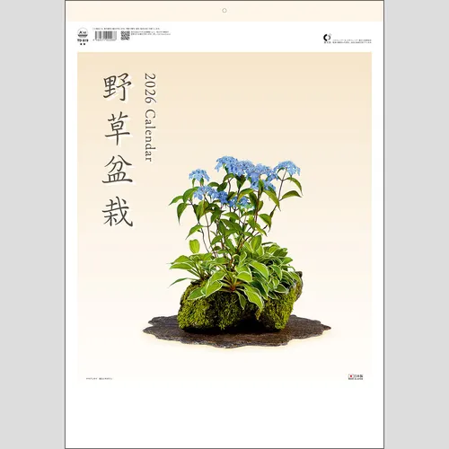 野草盆栽　TD819