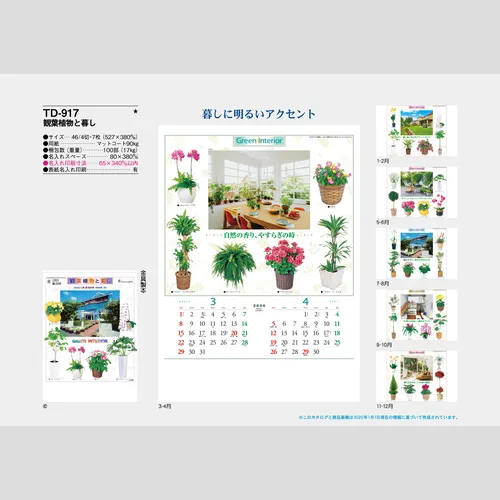 観葉植物と暮し TD917