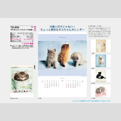 ラヴ・キャット～レイチェル・ヘイル作品集～　TD934
