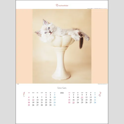 ラヴ・キャット～レイチェル・ヘイル作品集～　TD934
