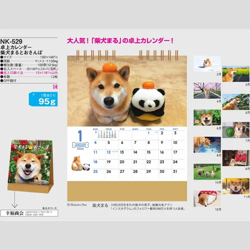 卓上カレンダー　柴犬まるとおさんぽ NK529
