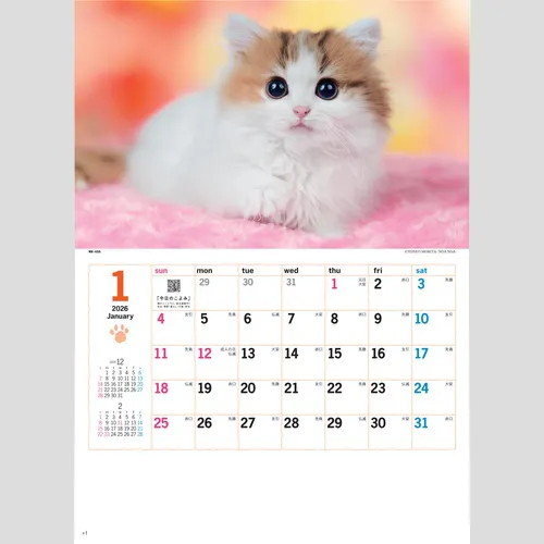 サンキュー・キャット　NK455