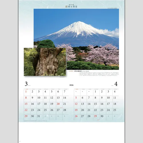 富士六景　日本の至宝　NK19