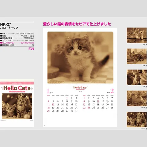 ハローキャッツ　NK27