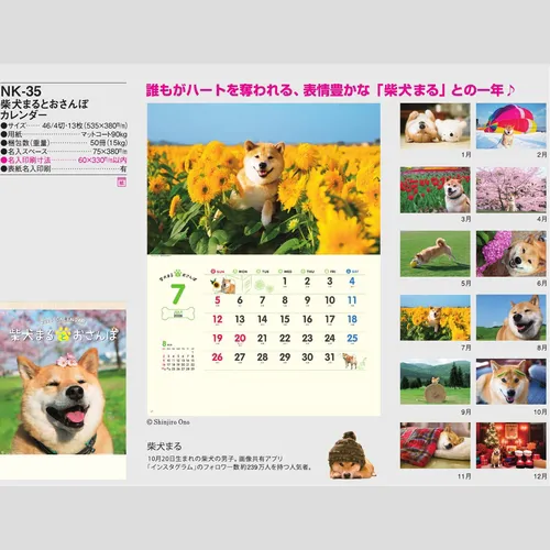 柴犬まるとおさんぽカレンダー　NK35