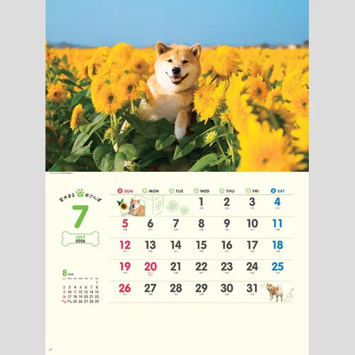 柴犬まるとおさんぽカレンダー　NK35