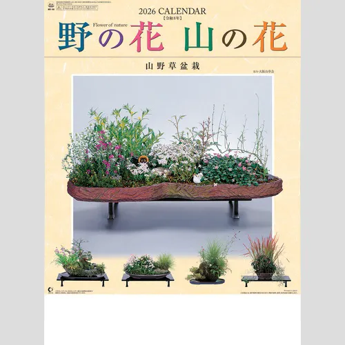 野の花・山の花（山野草盆栽集）NK46