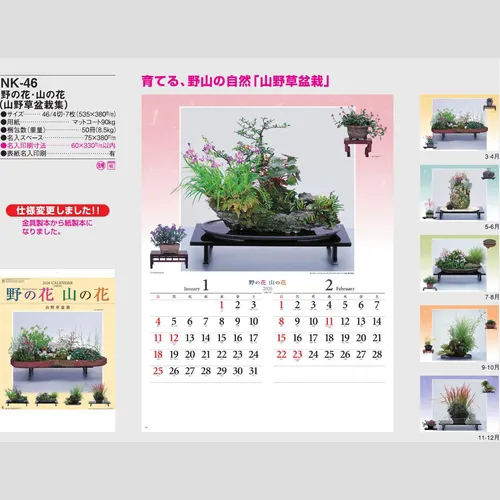 野の花・山の花（山野草盆栽集）NK46