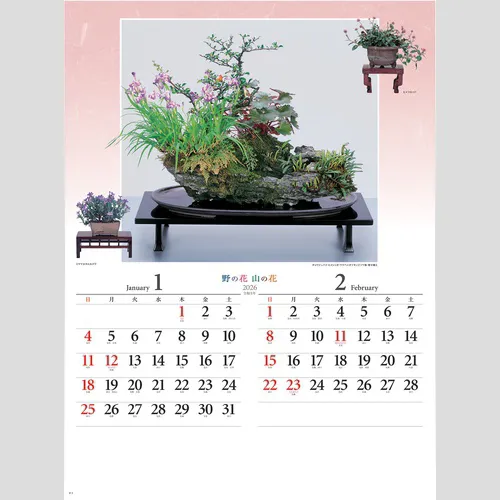 野の花・山の花（山野草盆栽集）NK46