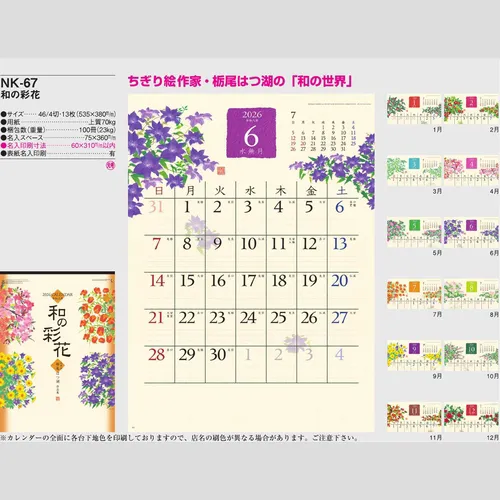 和の彩花 NK67