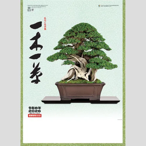 一木一草 NK91