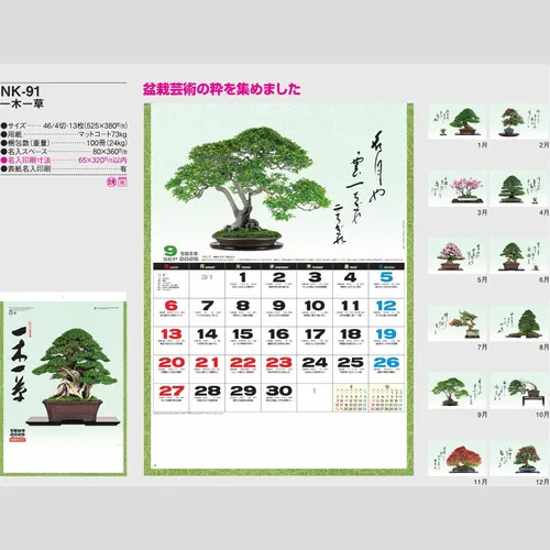一木一草 NK91