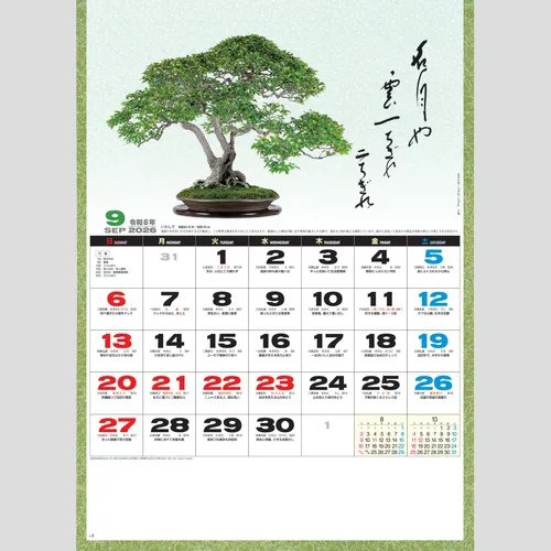 一木一草 NK91