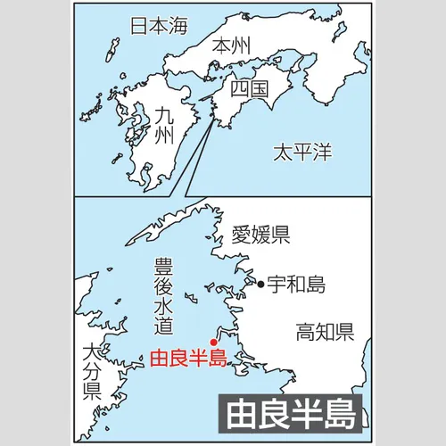 サンデーフィッシング NK99
