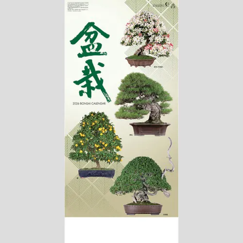 盆栽 NK152