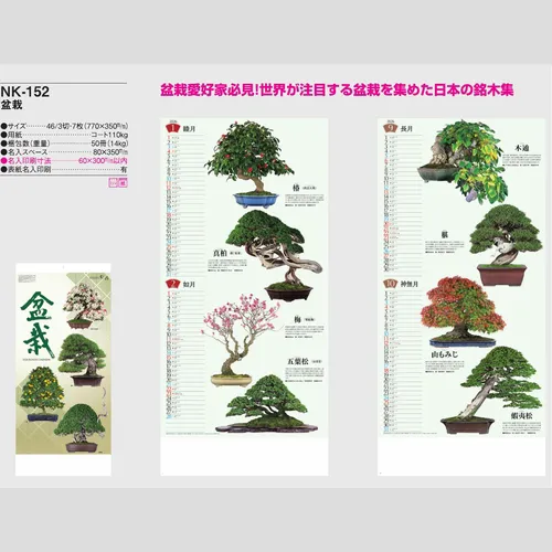 盆栽 NK152