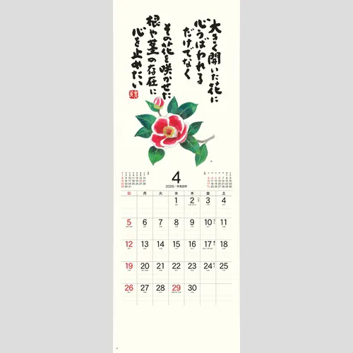 心の花 NK423