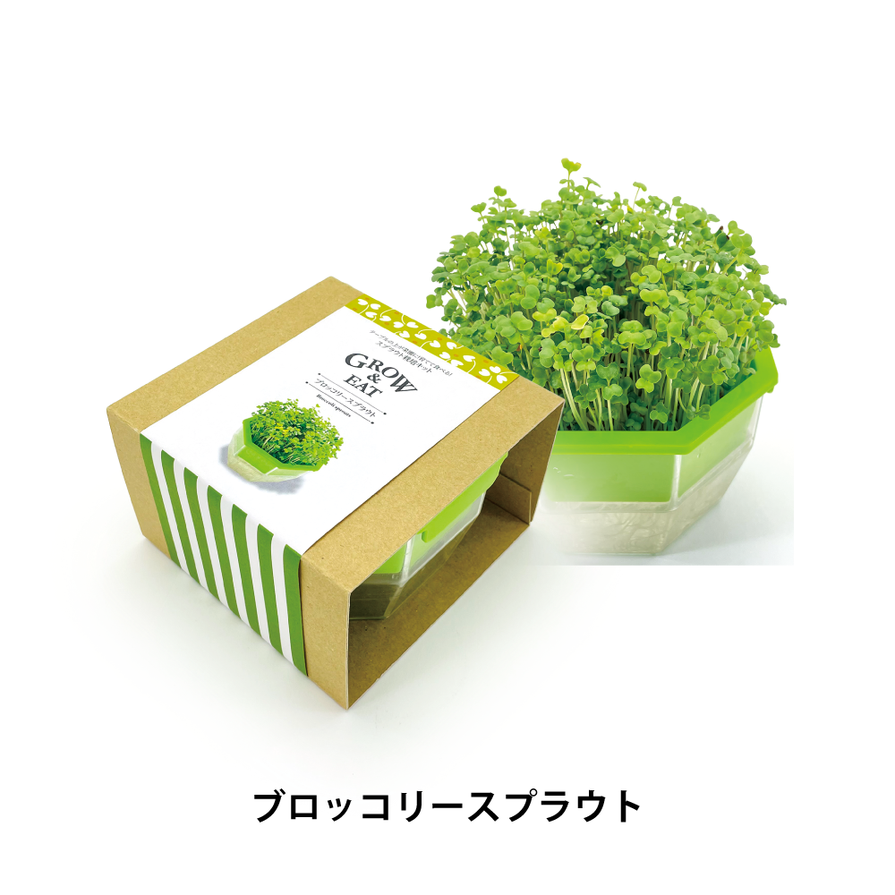 スプラウト栽培キット