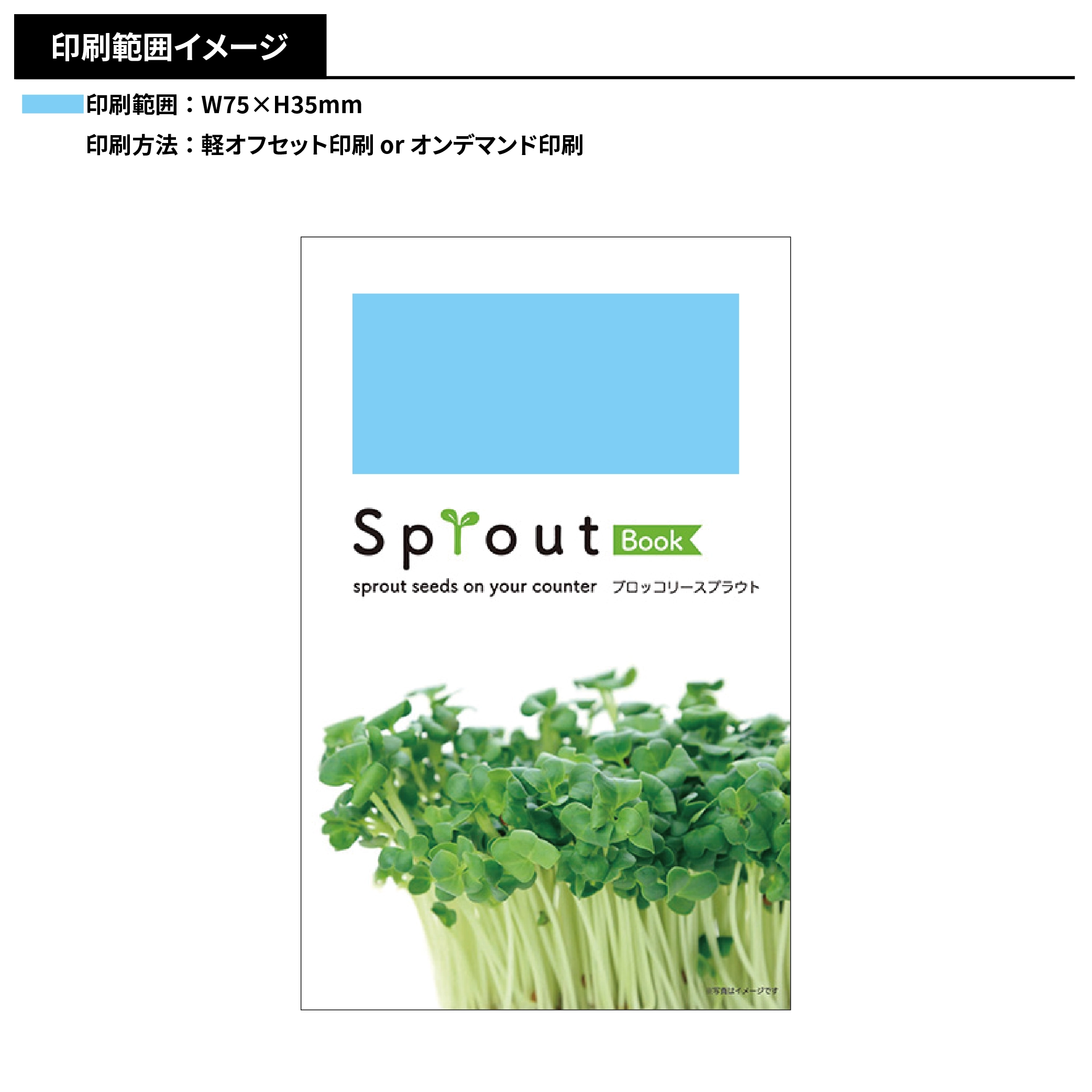 スプラウト栽培キット