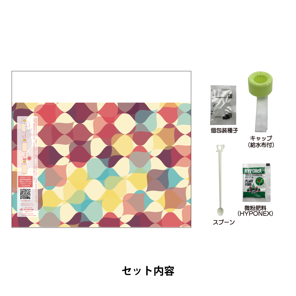 ペットボトル水耕栽培キット