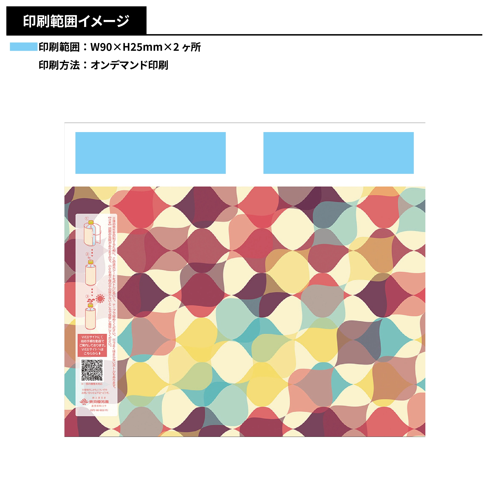 ペットボトル水耕栽培キット