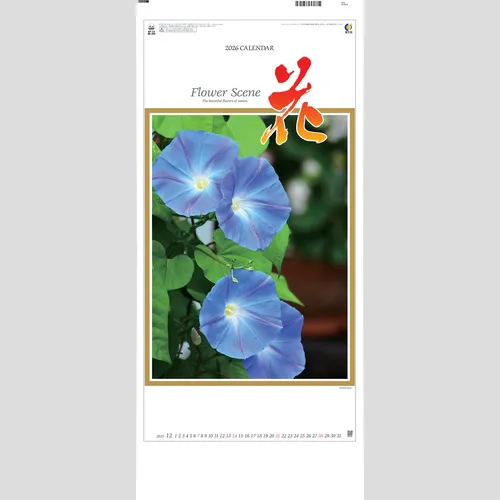 花　NK494