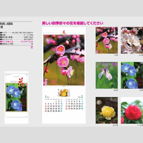 花　NK494