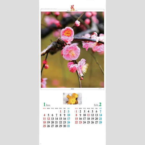 花　NK494