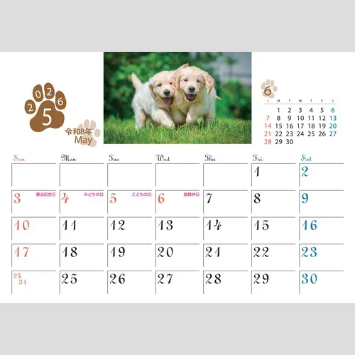 キャット&ドッグ SG947