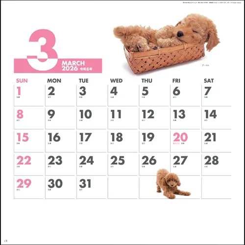 DOG・DOG・DOG　SG172