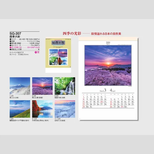 四季六彩 SG207