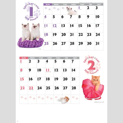 CAT・CAT・CAT　SG2280