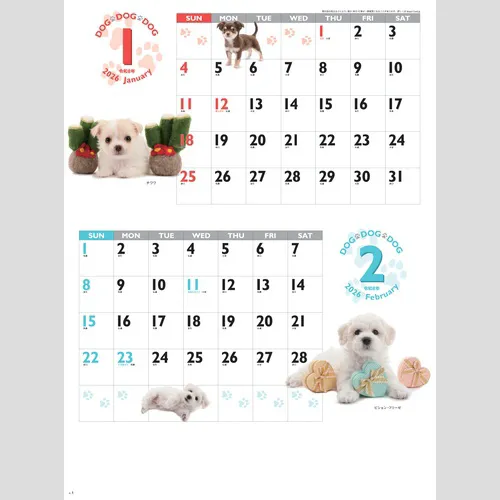 DOG・DOG・DOG　SG229