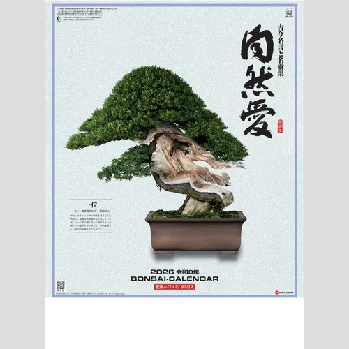自然愛(盆栽) SG278