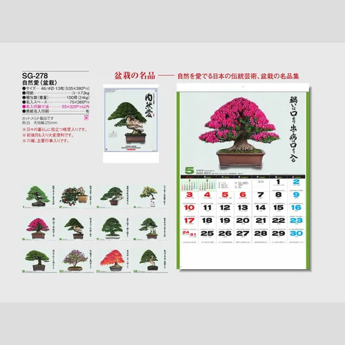 自然愛(盆栽) SG278