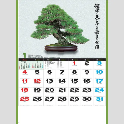 自然愛(盆栽) SG278