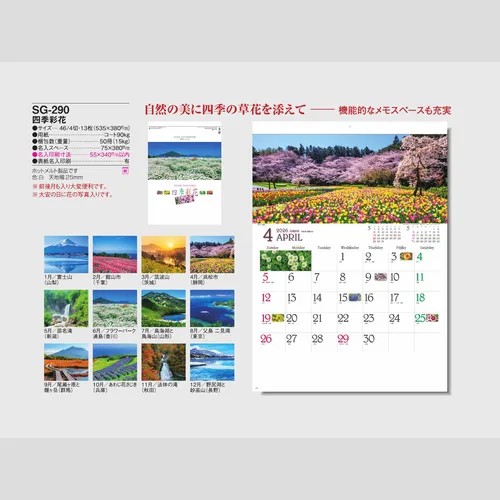 四季彩花 SG290