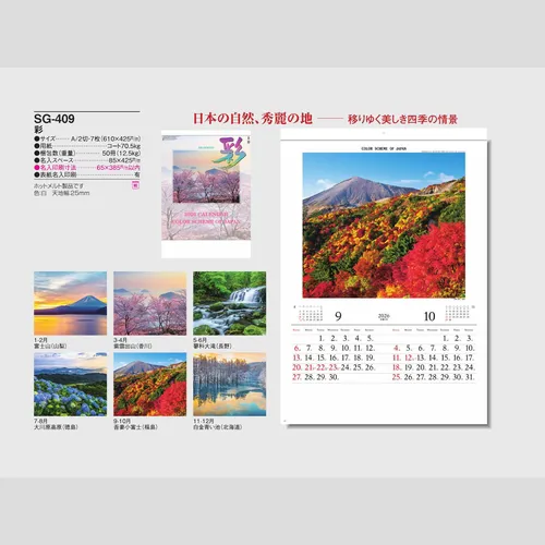 彩 SG409