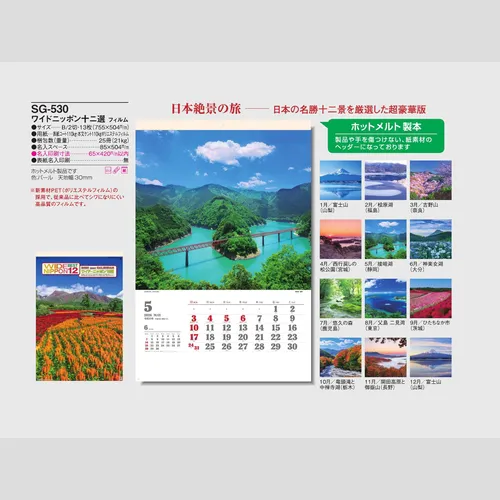 ワイドニッポン十二選 SG530