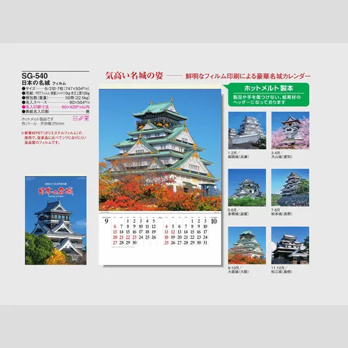 日本の名城 SG540