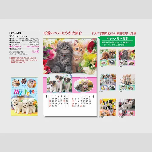 マイペット SG543