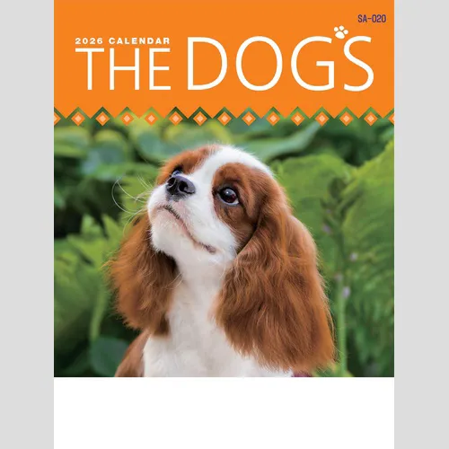 THE DOG'S(ザ･ドッグス)　SA020