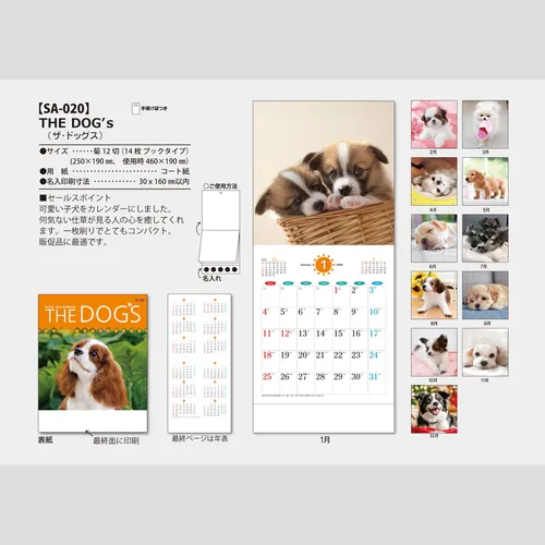 THE DOG'S(ザ･ドッグス)　SA020