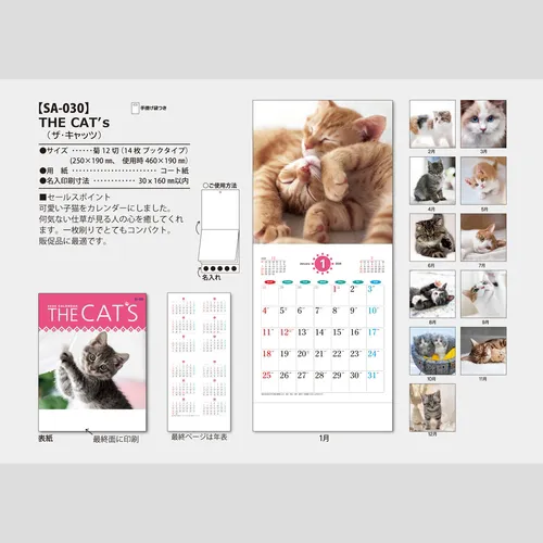 THE CAT'S(ザ･キャッツ)　SA030