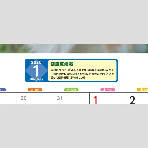 リトルペット　SA341