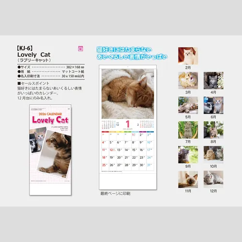 Lovely Cat（ラブリーキャット）　KJ6