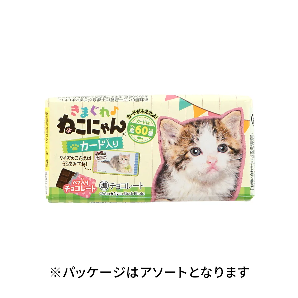 正栄デリシィ きまぐれにゃんこ(オリジナルチラシ)