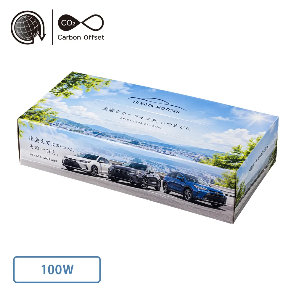 エコボックスティッシュ100W